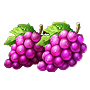 Grape