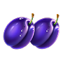 Plum